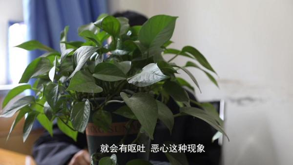 减肥咖啡”被查！同款产品却仍在销售不朽情缘游戏网站址超千万元有毒“(图2)