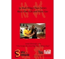 Ip Man Wing Chun Kung Fu