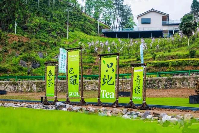 ！汉中多个景区免门票MG不朽情缘好消息(图9)